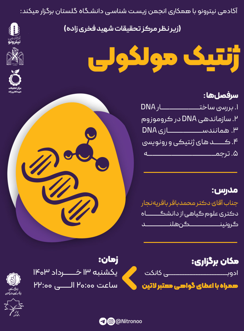 ورکشاپ ژنتیک مولکولی: از ساختار DNA تا ترجمه پروتئین